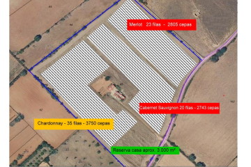 Inmobiliaria Santa Maria 2